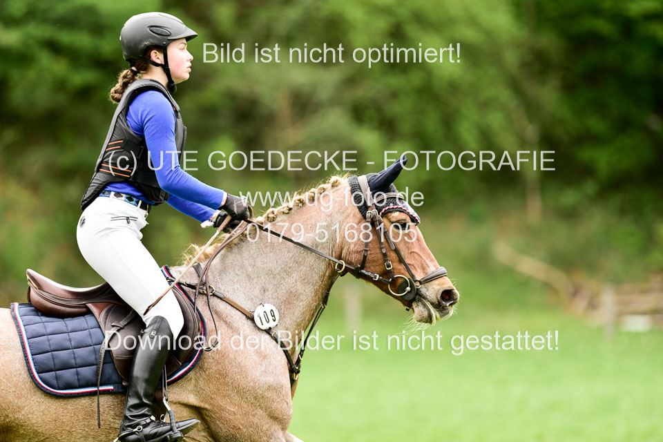 Stilgeländeritt-Kl-E-1-Abt-_144.jpg