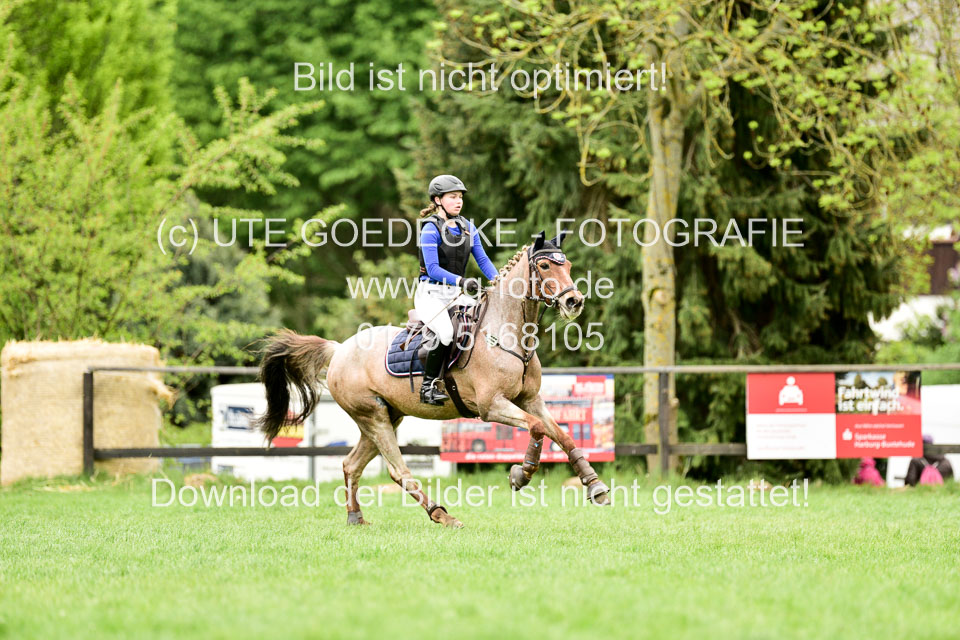 Stilgeländeritt-Kl-E-1-Abt-_146.jpg