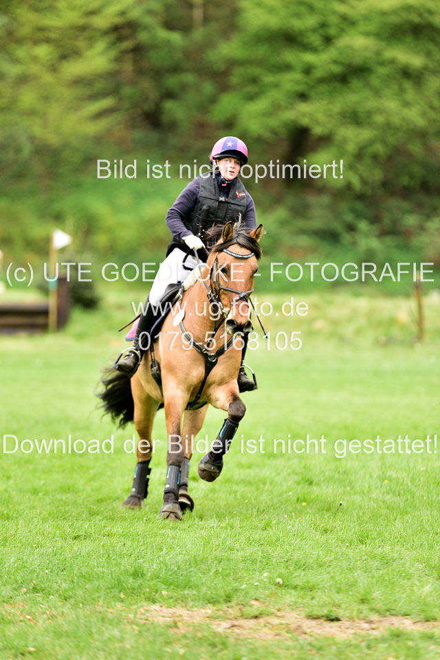 Stilgeländeritt-Kl-E-1-Abt-_149.jpg