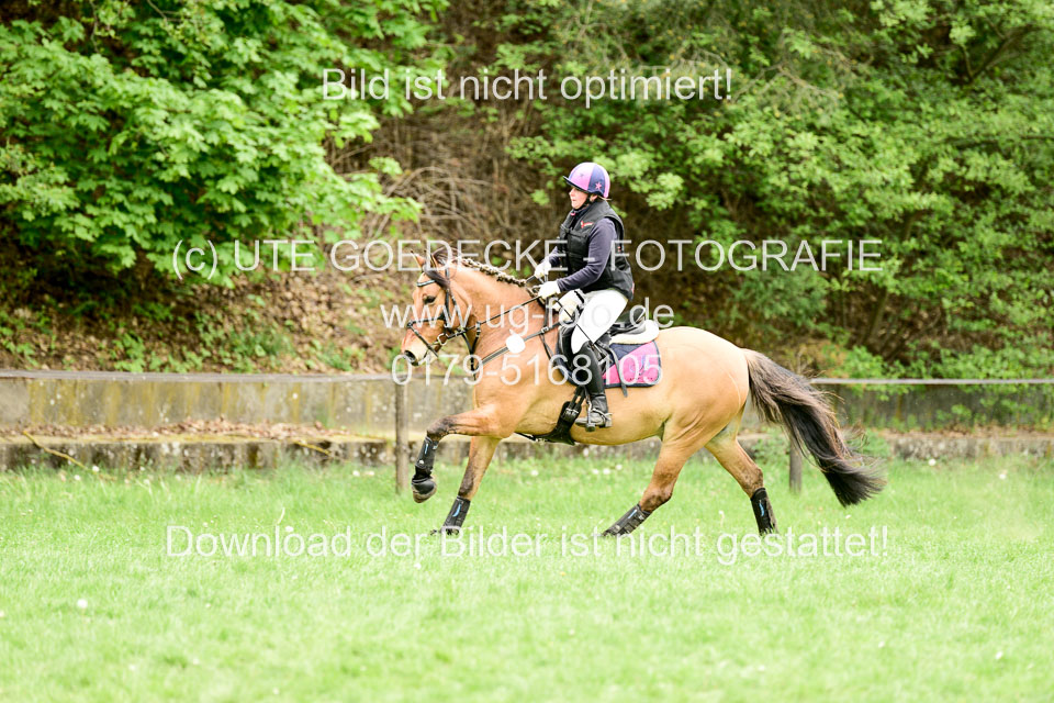 Stilgeländeritt-Kl-E-1-Abt-_157.jpg