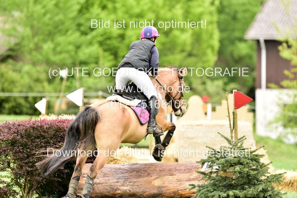 Stilgeländeritt-Kl-E-1-Abt-_161.jpg