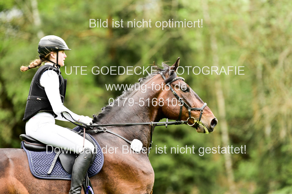 Stilgeländeritt-Kl-E-1-Abt-_171.jpg