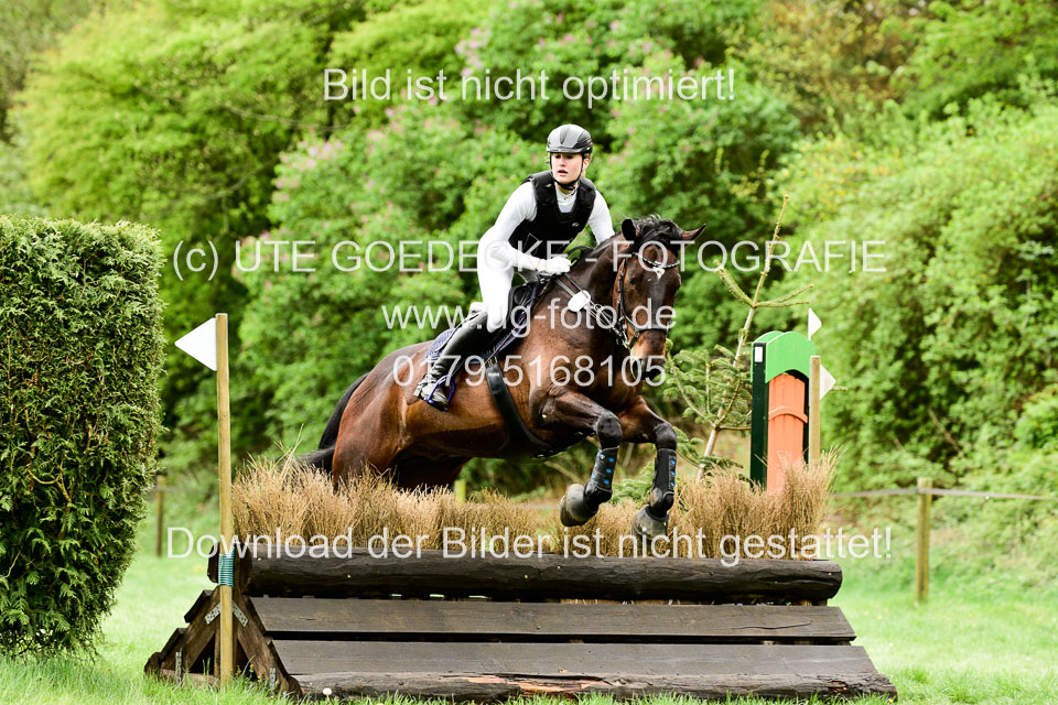 Stilgeländeritt-Kl-E-1-Abt-_174.jpg