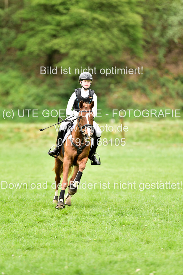 Stilgeländeritt-Kl-E-1-Abt-_197.jpg