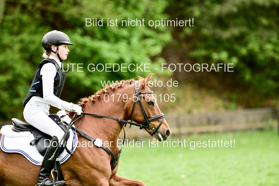 Stilgeländeritt-Kl-E-1-Abt-_207.jpg
