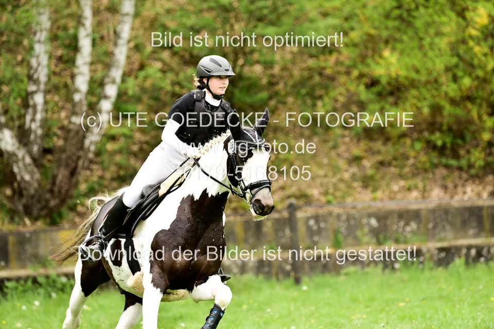 Stilgeländeritt-Kl-E-1-Abt-_223.jpg