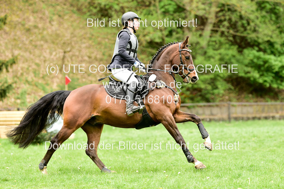 Stilgeländeritt-Kl-E-1-Abt-_243.jpg