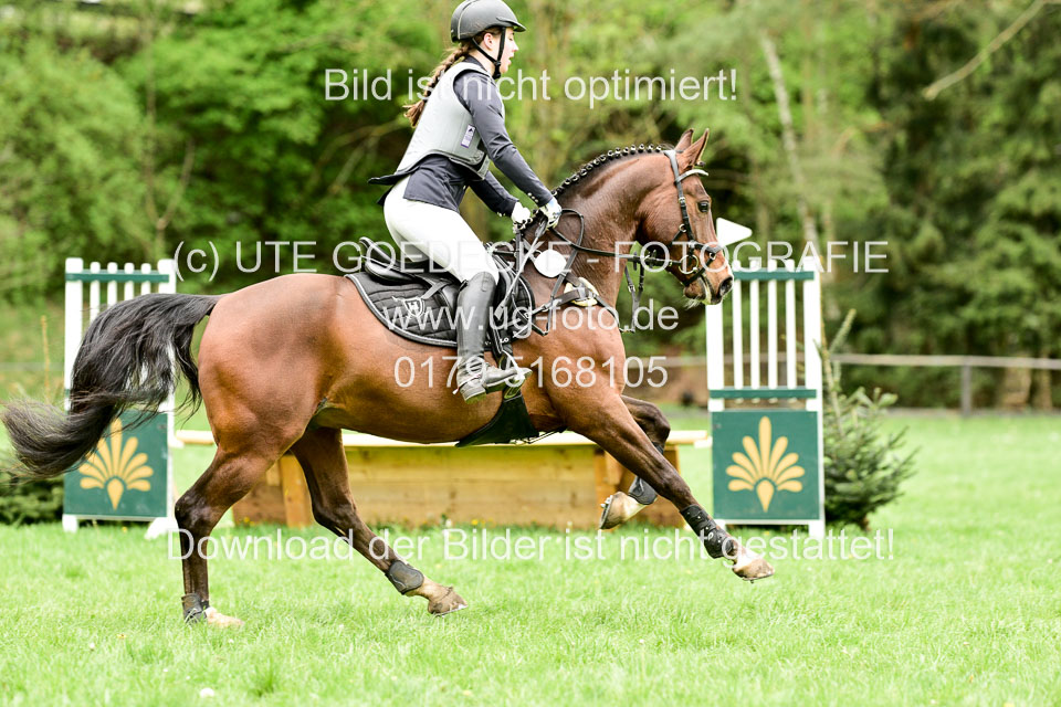 Stilgeländeritt-Kl-E-1-Abt-_244.jpg