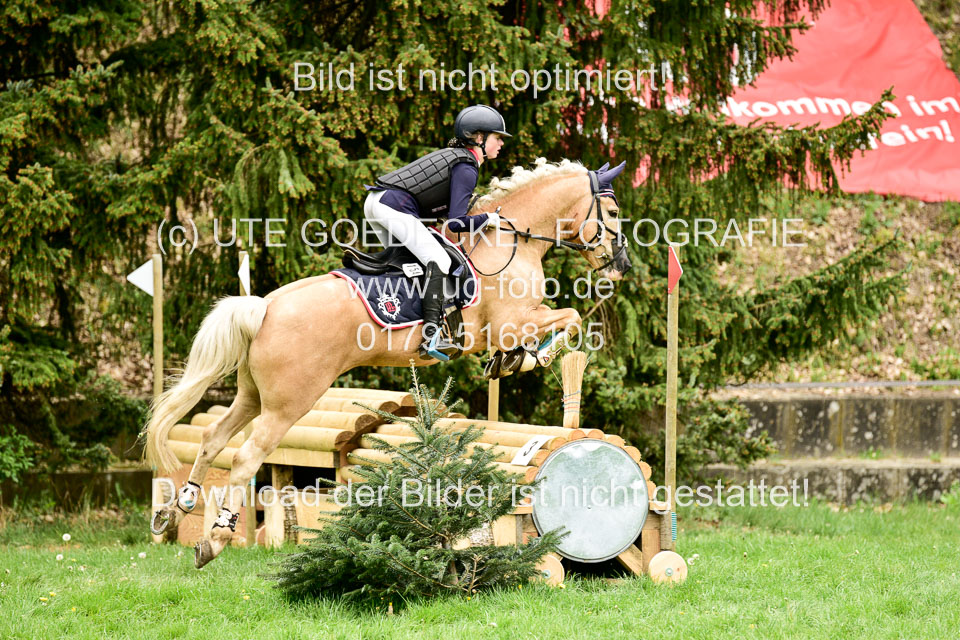 Stilgeländeritt-Kl-E-1-Abt-_263.jpg