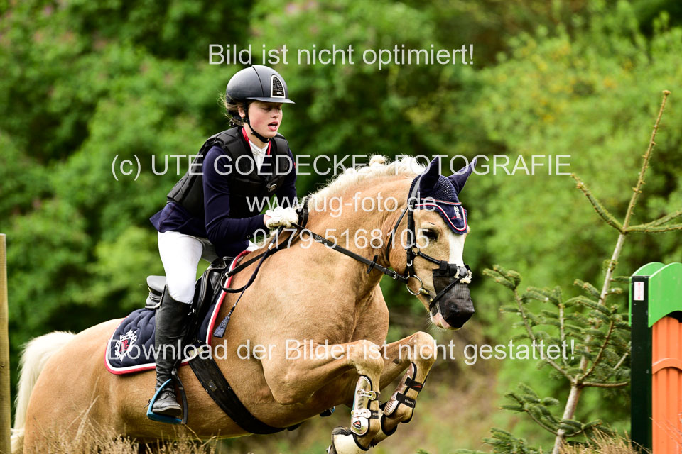 Stilgeländeritt-Kl-E-1-Abt-_276.jpg