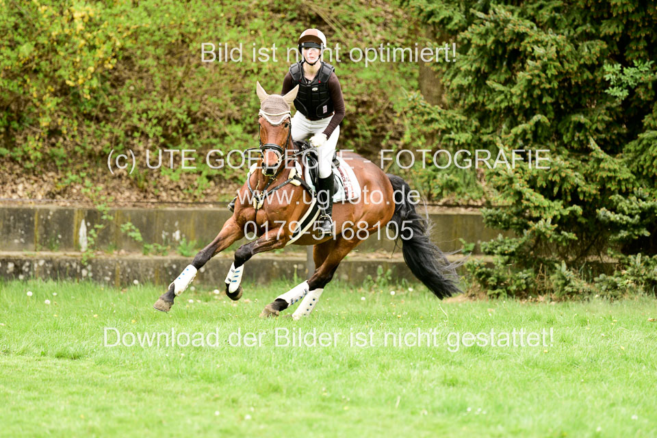 Stilgeländeritt-Kl-E-1-Abt-_304.jpg