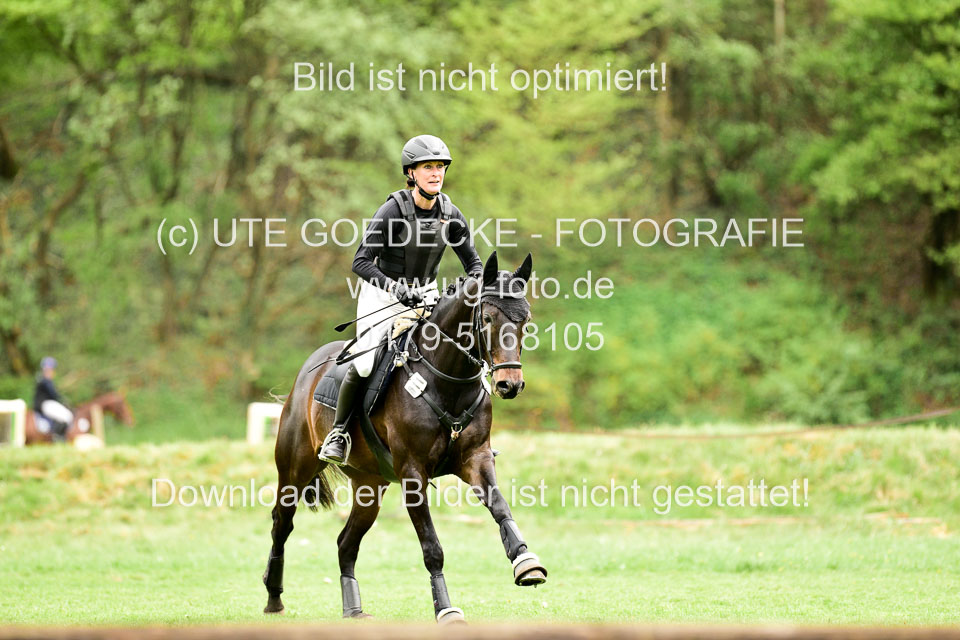 Stilgeländeritt-Kl-E-1-Abt-_321.jpg