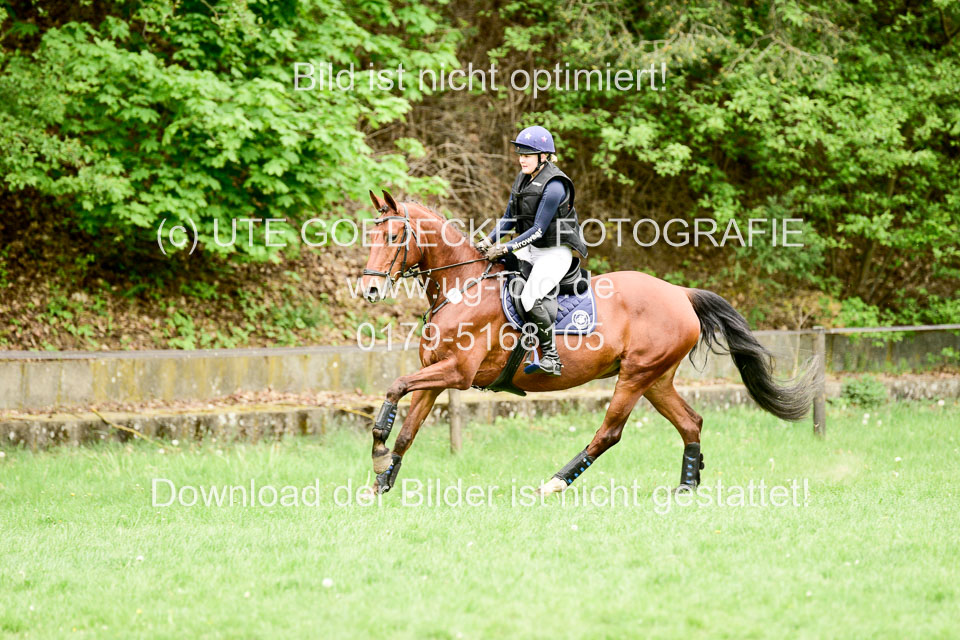 Stilgeländeritt-Kl-E-1-Abt-_330.jpg