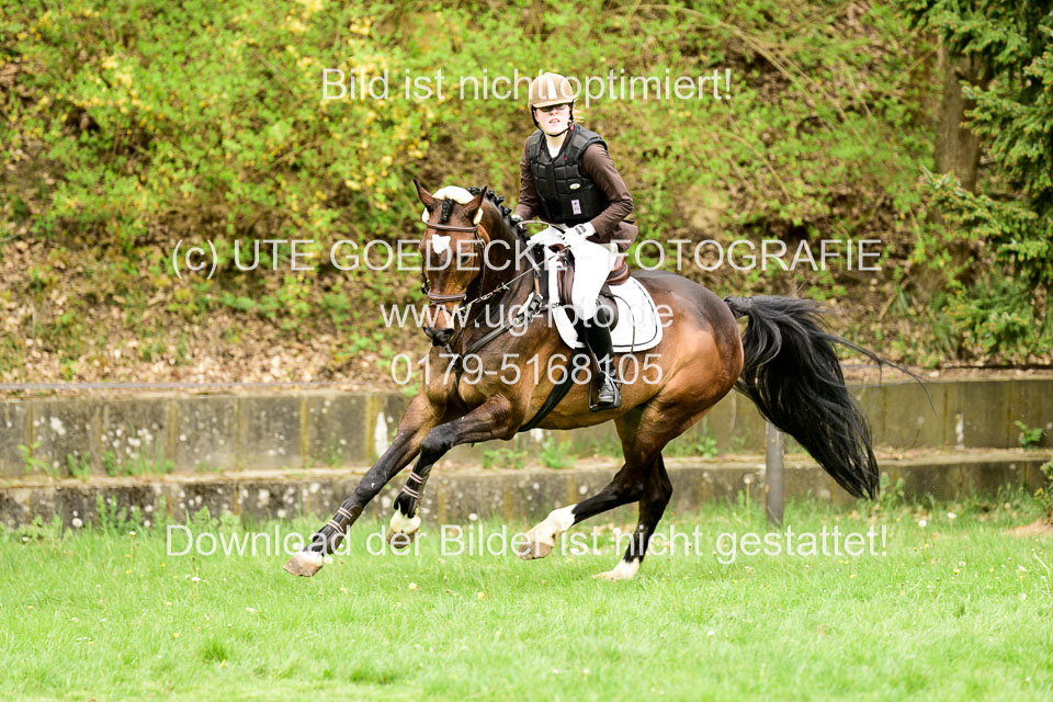 Stilgeländeritt-Kl-E-1-Abt-_340.jpg