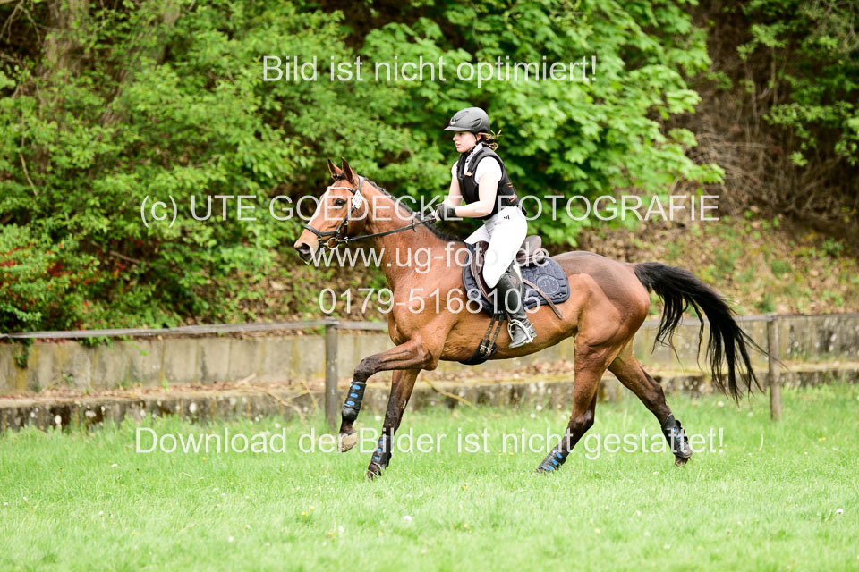 Stilgeländeritt-Kl-E-1-Abt-_352.jpg