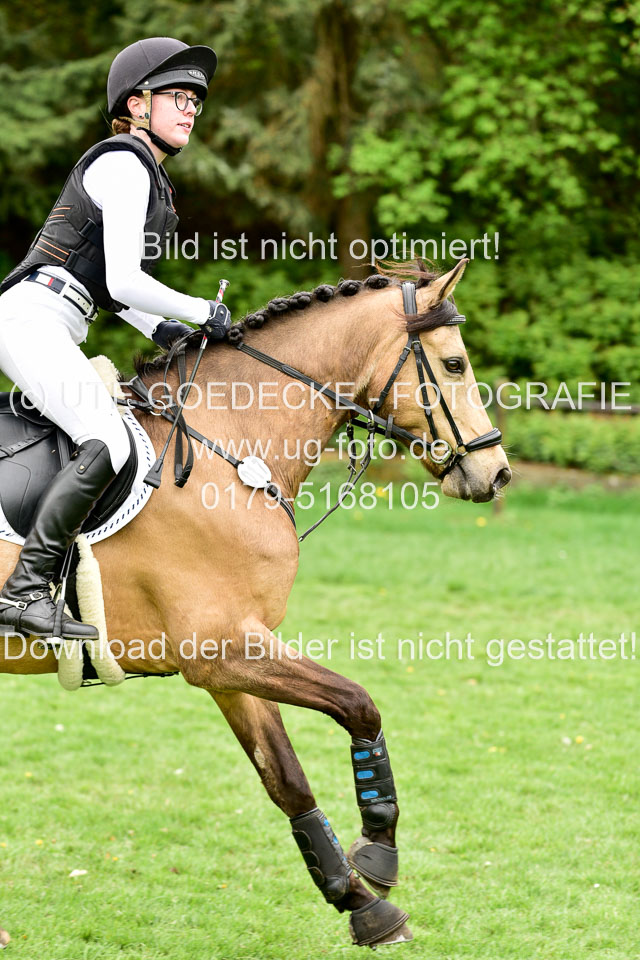 Stilgeländeritt-Kl-E-1-Abt-_361.jpg