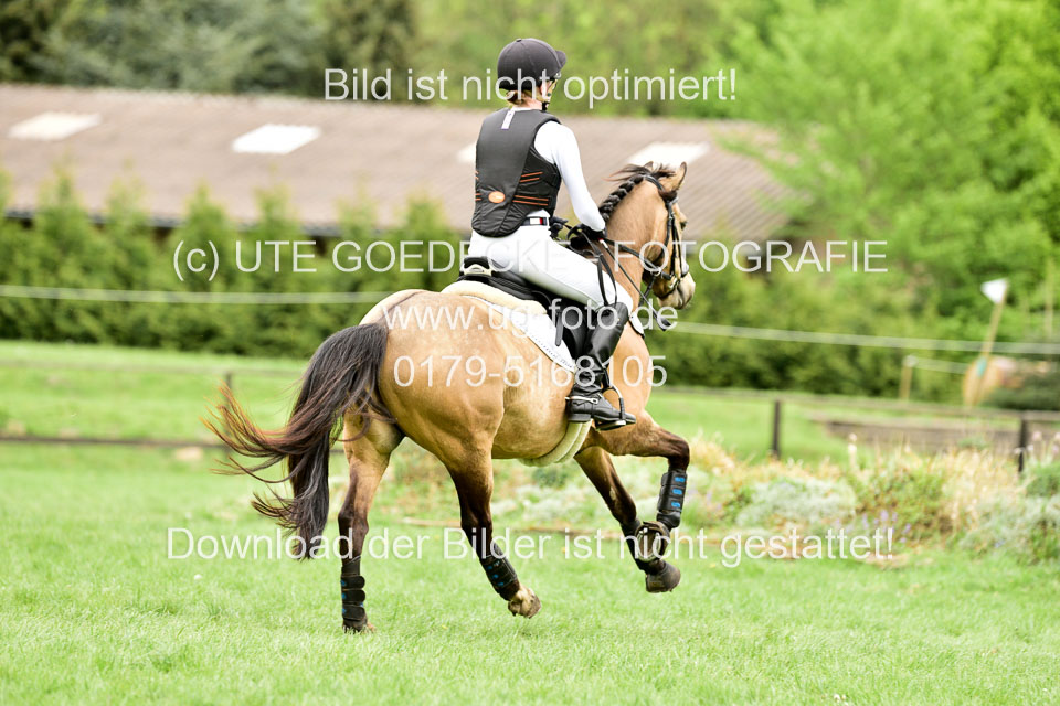 Stilgeländeritt-Kl-E-1-Abt-_366.jpg