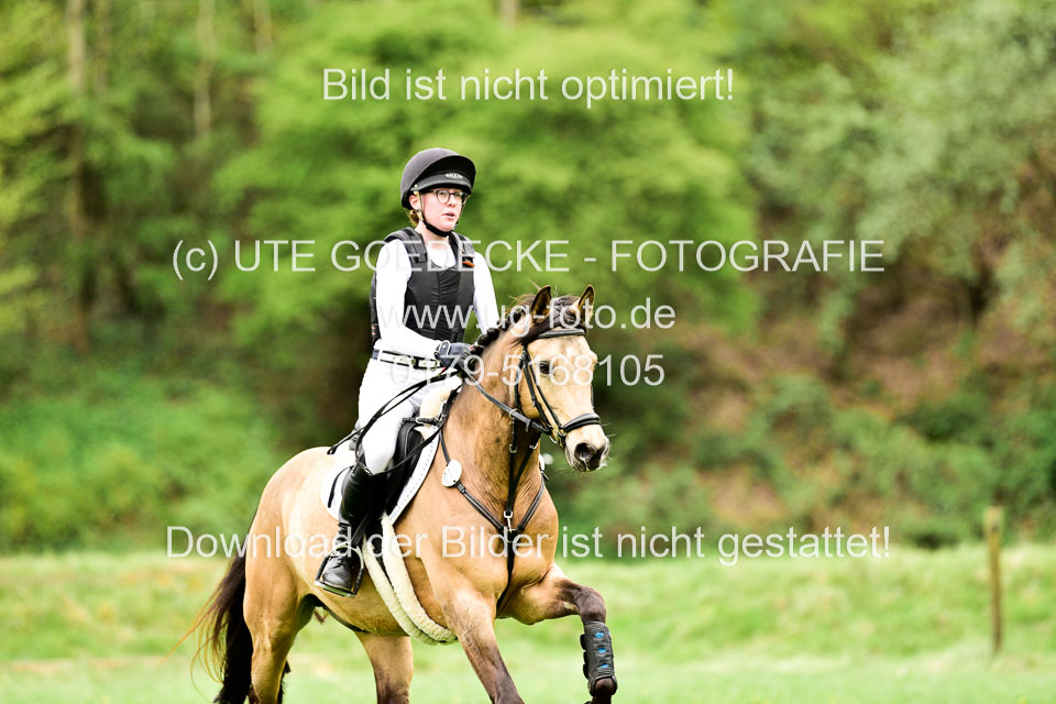 Stilgeländeritt-Kl-E-1-Abt-_368.jpg