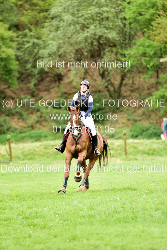 Stilgeländeritt-Kl-E-1-Abt-_371.jpg