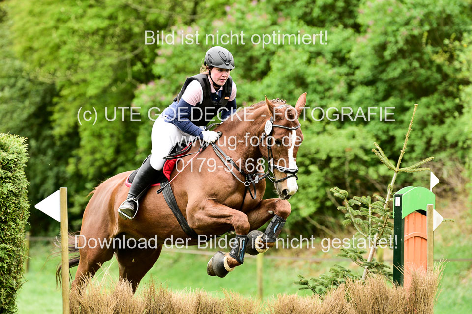 Stilgeländeritt-Kl-E-1-Abt-_378.jpg