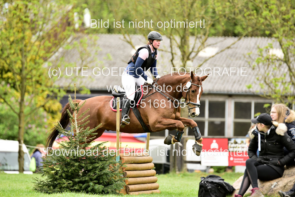 Stilgeländeritt-Kl-E-1-Abt-_379.jpg