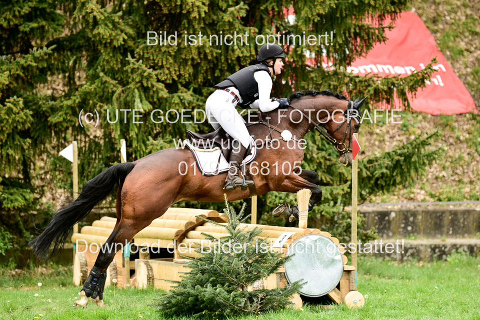 Stilgeländeritt-Kl-E-1-Abt-_383.jpg