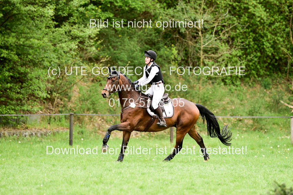 Stilgeländeritt-Kl-E-1-Abt-_385.jpg