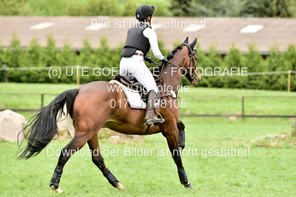 Stilgeländeritt-Kl-E-1-Abt-_388.jpg