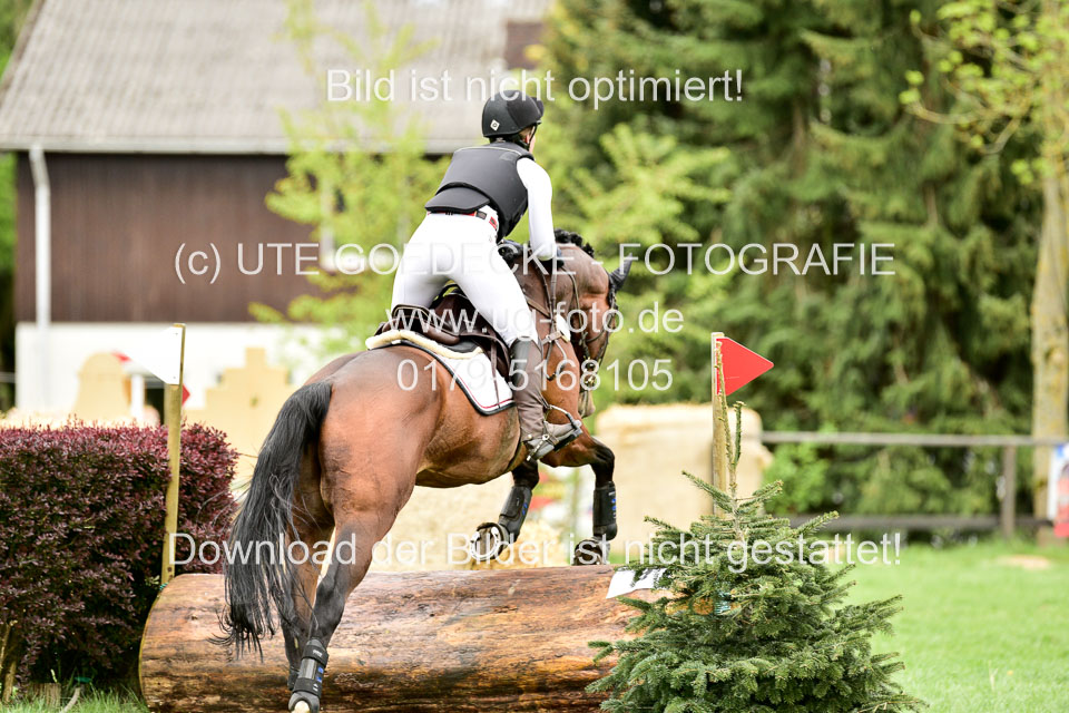 Stilgeländeritt-Kl-E-1-Abt-_389.jpg
