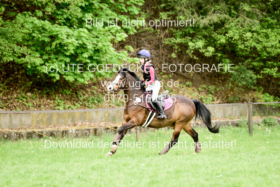 Stilgeländeritt-Kl-E-Abt-2_177.jpg
