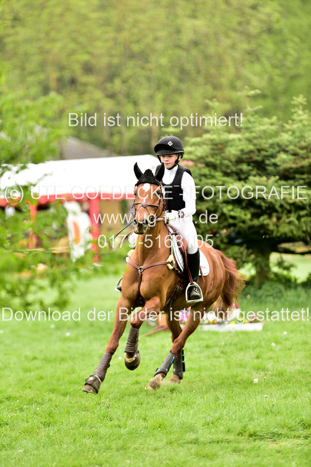 Stilgeländeritt-Kl-E-Abt-2_479.jpg