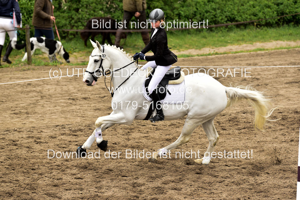 01052019-Stilspringen-KL-E-_137.jpg
