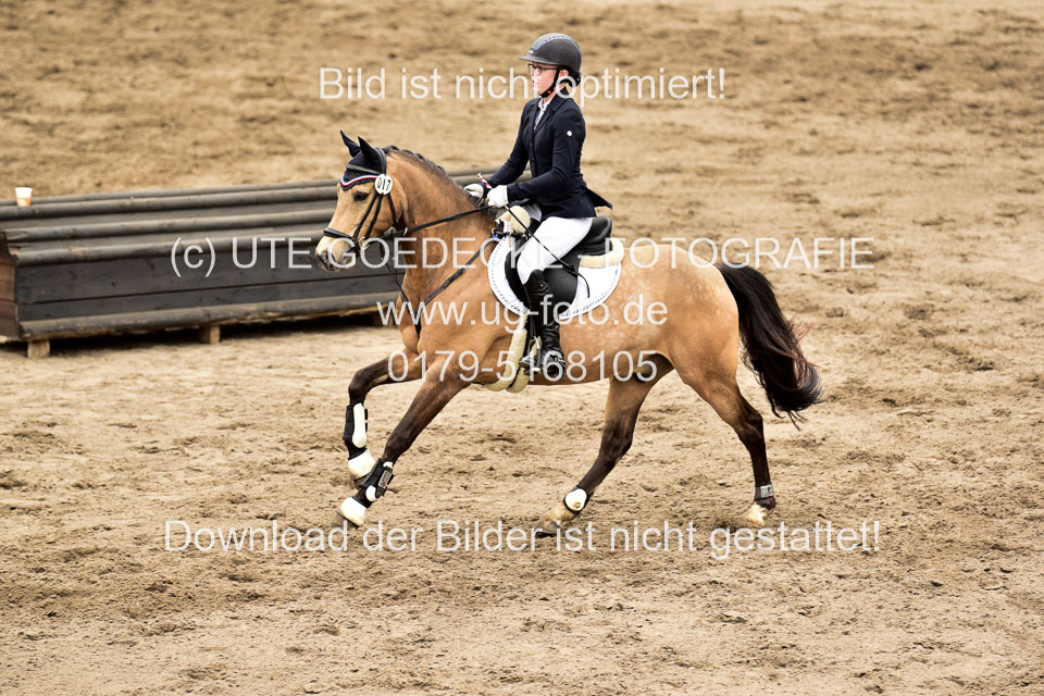 01052019-Stilspringen-KL-E-_145.jpg