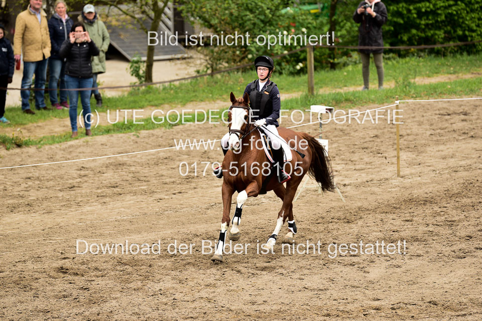 01052019-Stilspringen-KL-E-_209.jpg