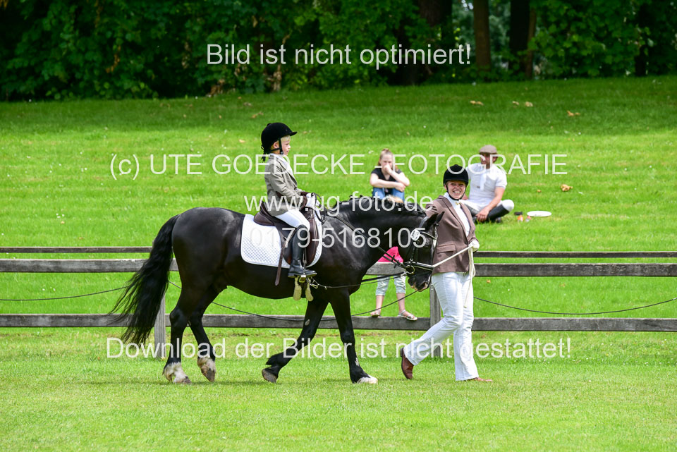 16062019---Führzügelwettbewerb-_012.jpg