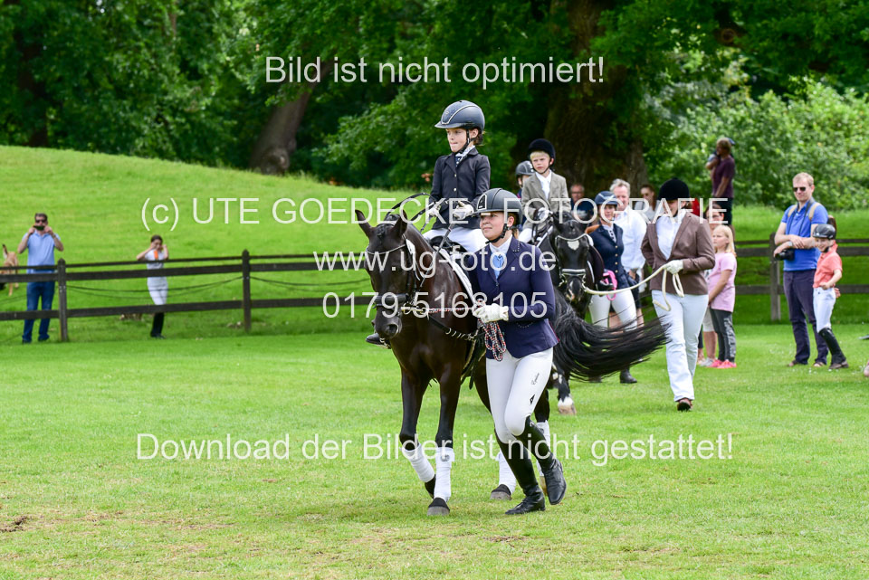 16062019---Führzügelwettbewerb-_022.jpg