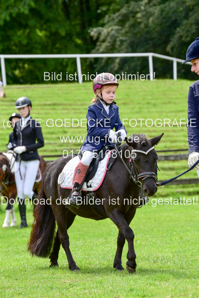 16062019---Führzügelwettbewerb-_025.jpg
