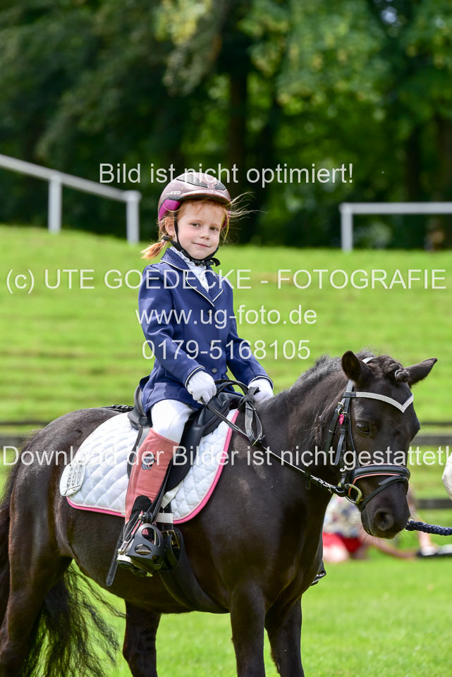 16062019---Führzügelwettbewerb-_033.jpg
