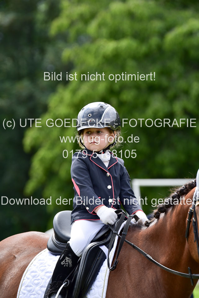 16062019---Führzügelwettbewerb-_037.jpg