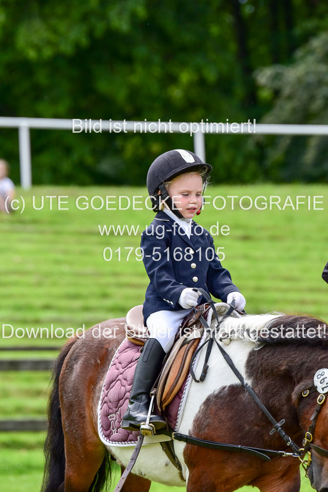 16062019---Führzügelwettbewerb-_041.jpg