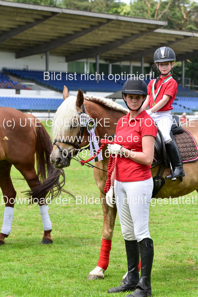 16062019---Führzügelwettbewerb-_053.jpg
