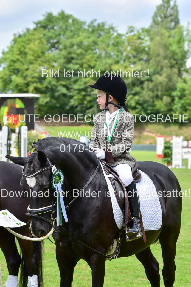 16062019---Führzügelwettbewerb-_054.jpg