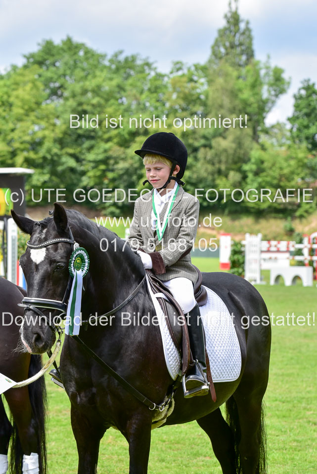 16062019---Führzügelwettbewerb-_055.jpg