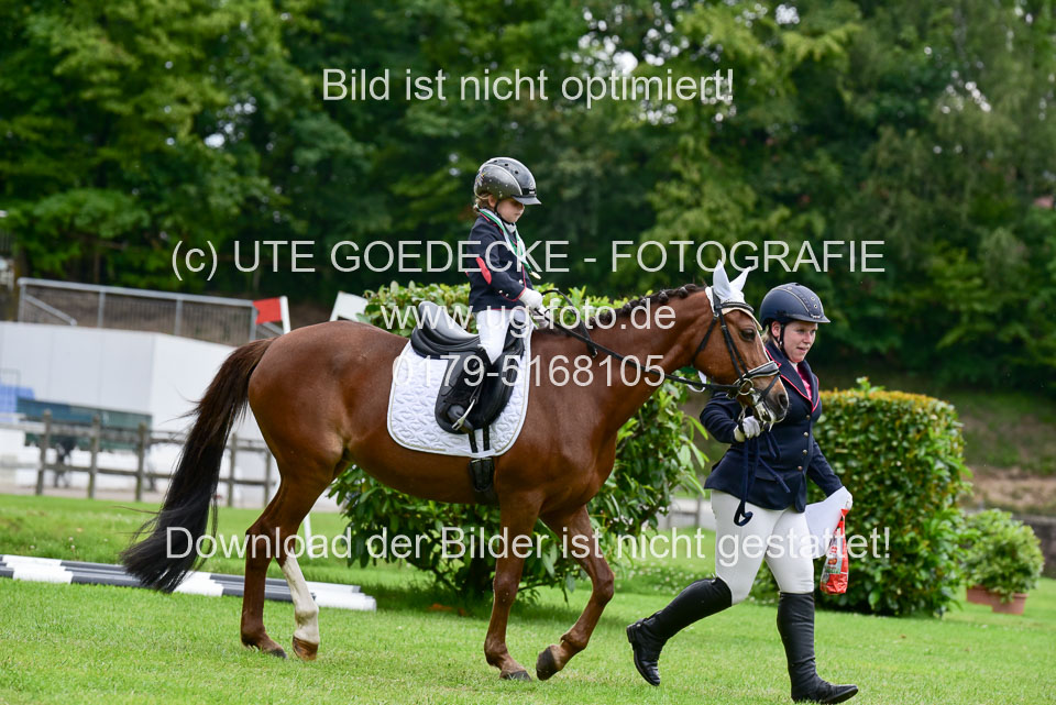16062019---Führzügelwettbewerb-_078.jpg