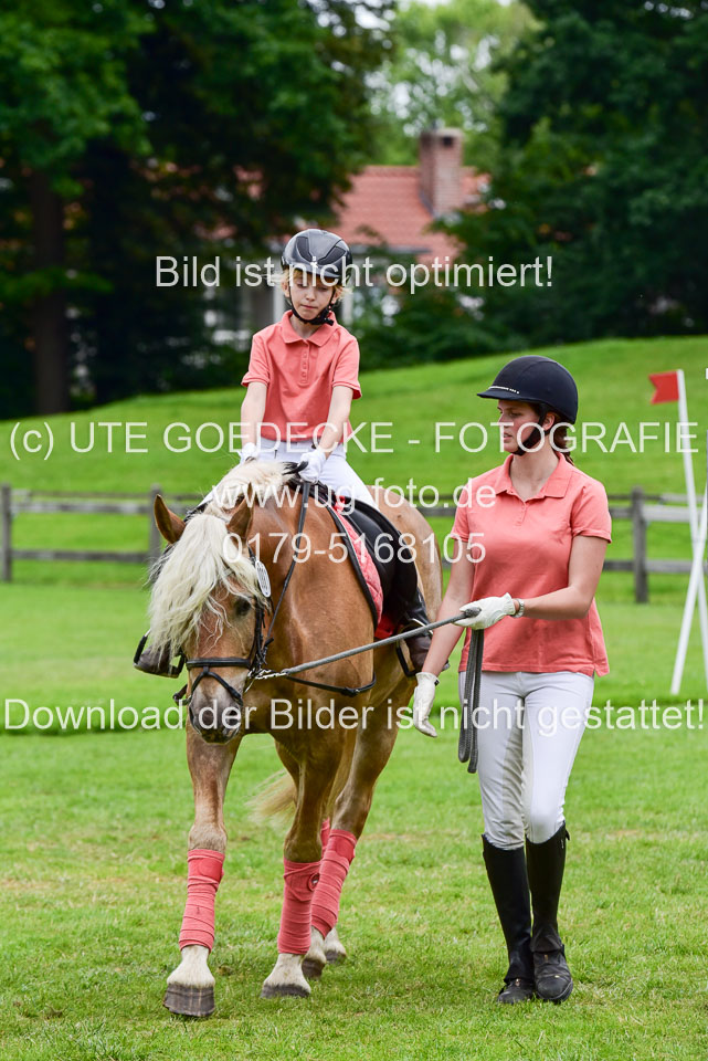 16062019---Führzügelwettbewerb-_086.jpg