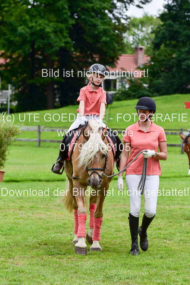 16062019---Führzügelwettbewerb-_087.jpg