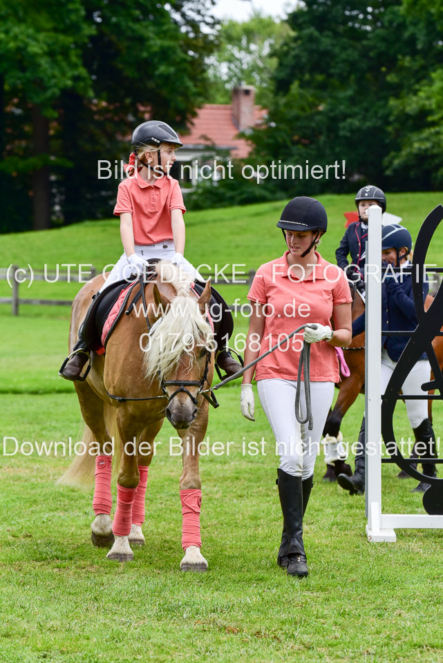 16062019---Führzügelwettbewerb-_088.jpg