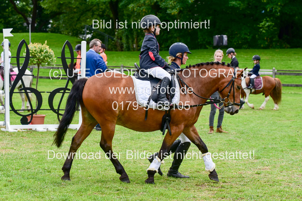16062019---Führzügelwettbewerb-_095.jpg