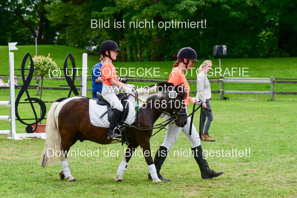 16062019---Führzügelwettbewerb-_097.jpg