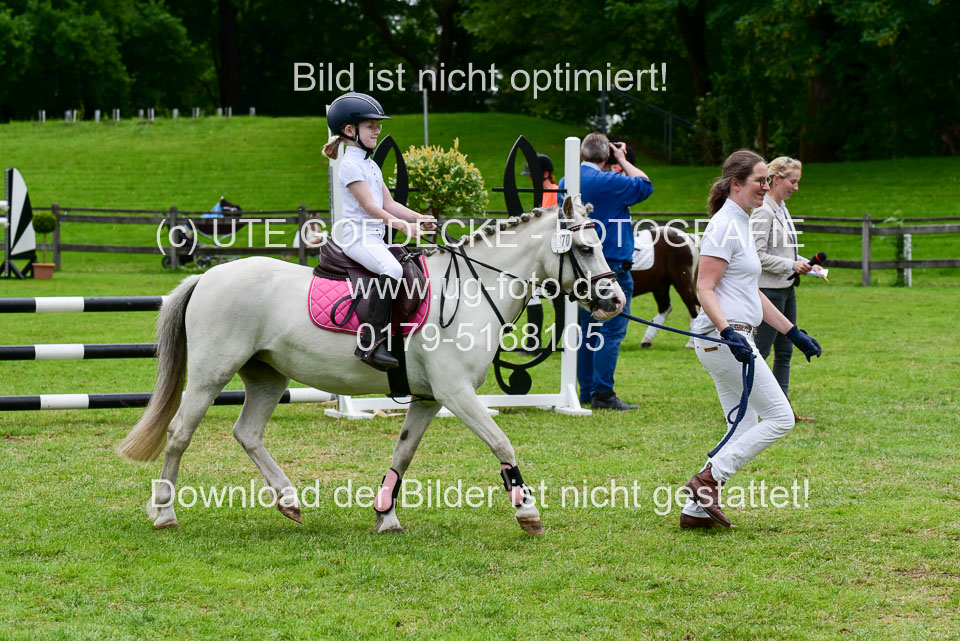16062019---Führzügelwettbewerb-_100.jpg